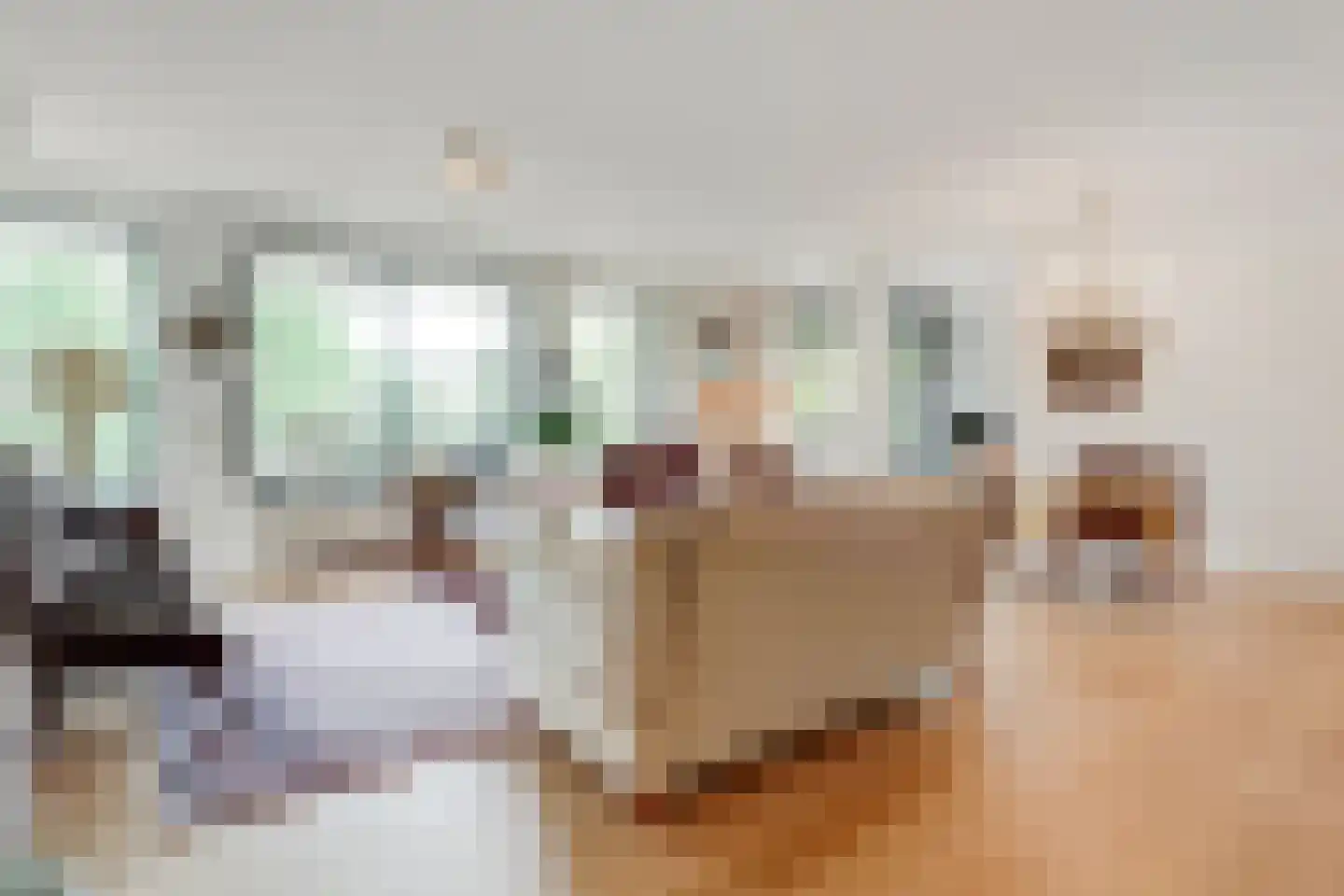 Finsponglaan 18 Zeist thumbnail 6