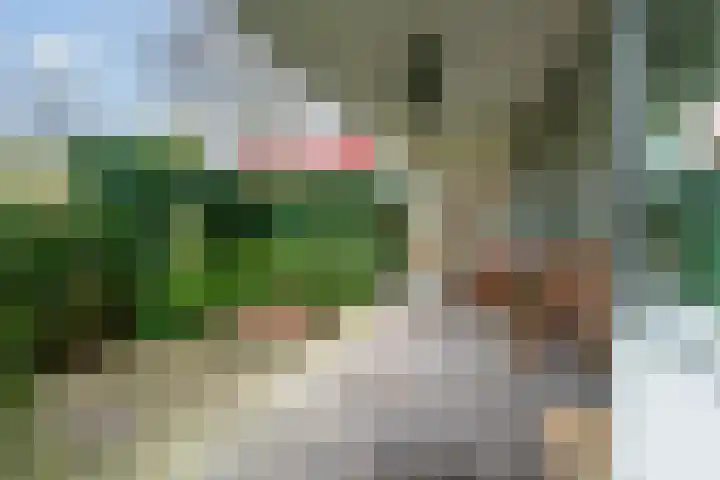 Finsponglaan 5 Zeist thumbnail 35