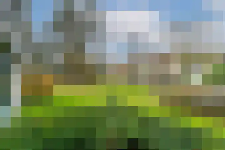 Finsponglaan 5 Zeist thumbnail 37