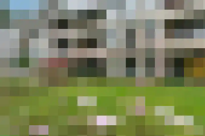 Finsponglaan 5 Zeist thumbnail 4