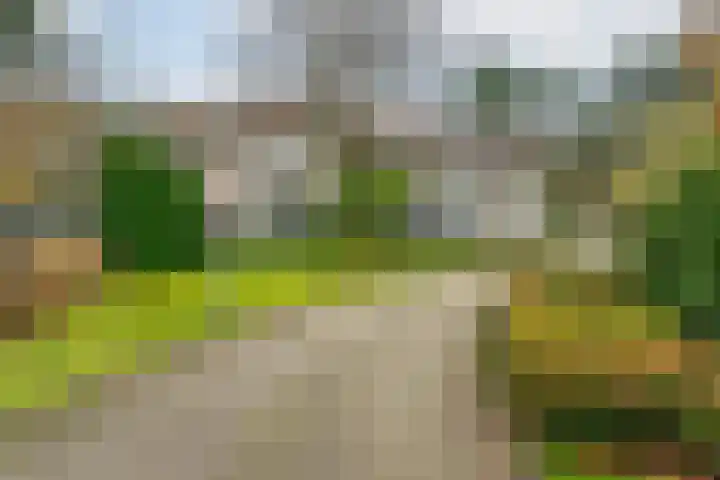 Finsponglaan 5 Zeist thumbnail 42
