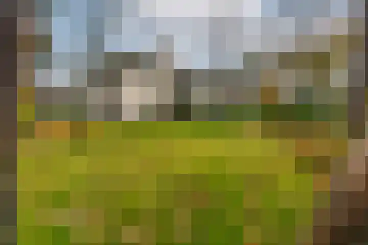 Finsponglaan 5 Zeist thumbnail 43