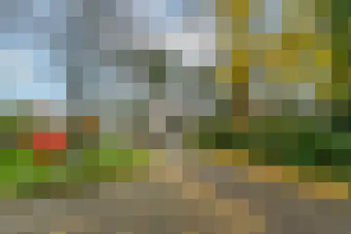 Finsponglaan 5 Zeist thumbnail 45