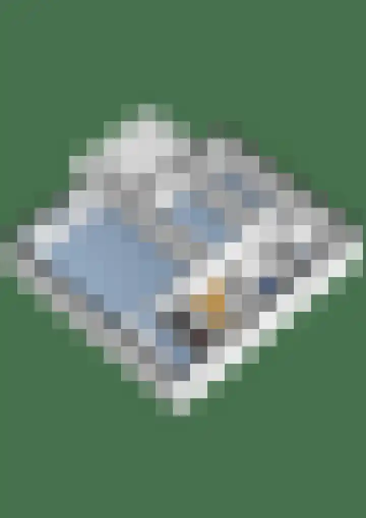 Finsponglaan 5 Zeist thumbnail 47