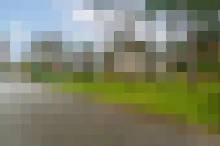Finsponglaan 5 Zeist thumbnail 5