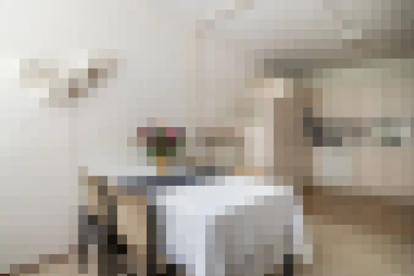 Finsponglaan 7 Zeist thumbnail 11