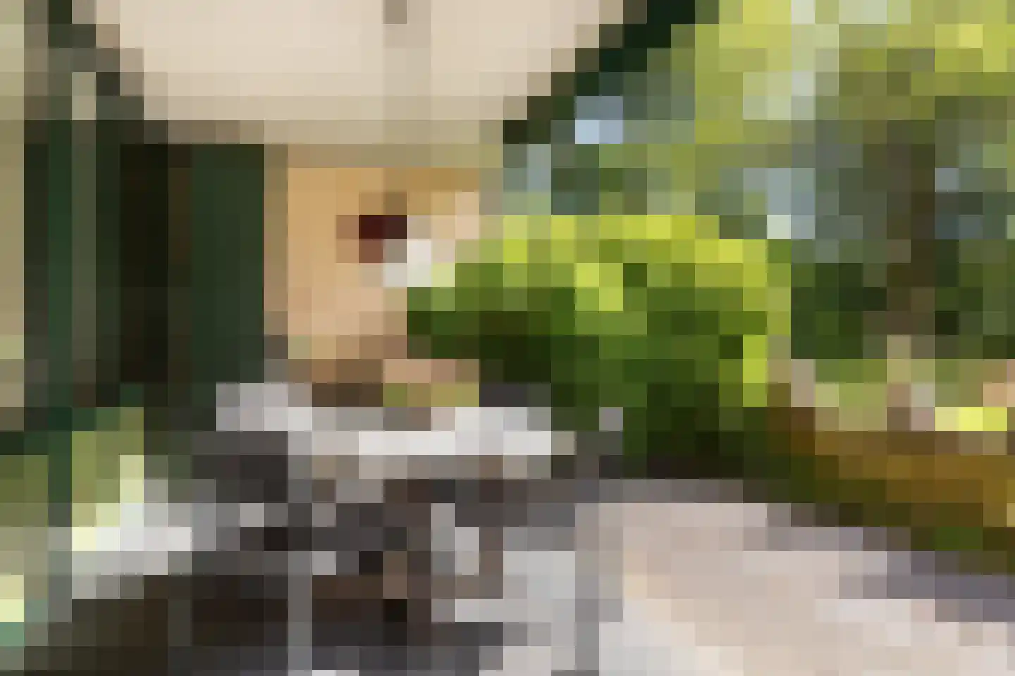 Finsponglaan 7 Zeist thumbnail 24