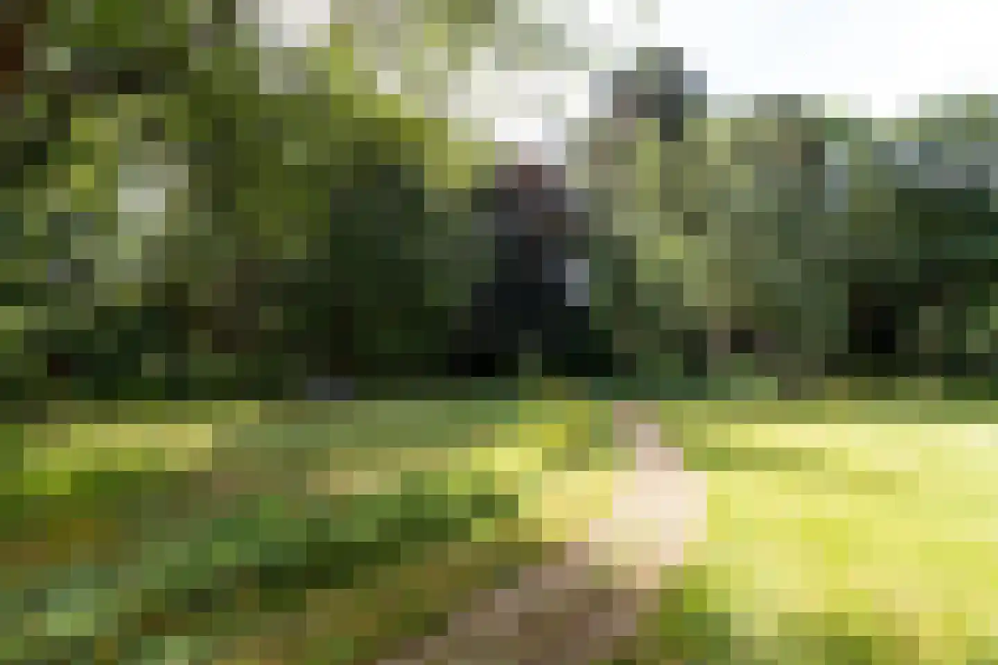 Finsponglaan 7 Zeist thumbnail 26