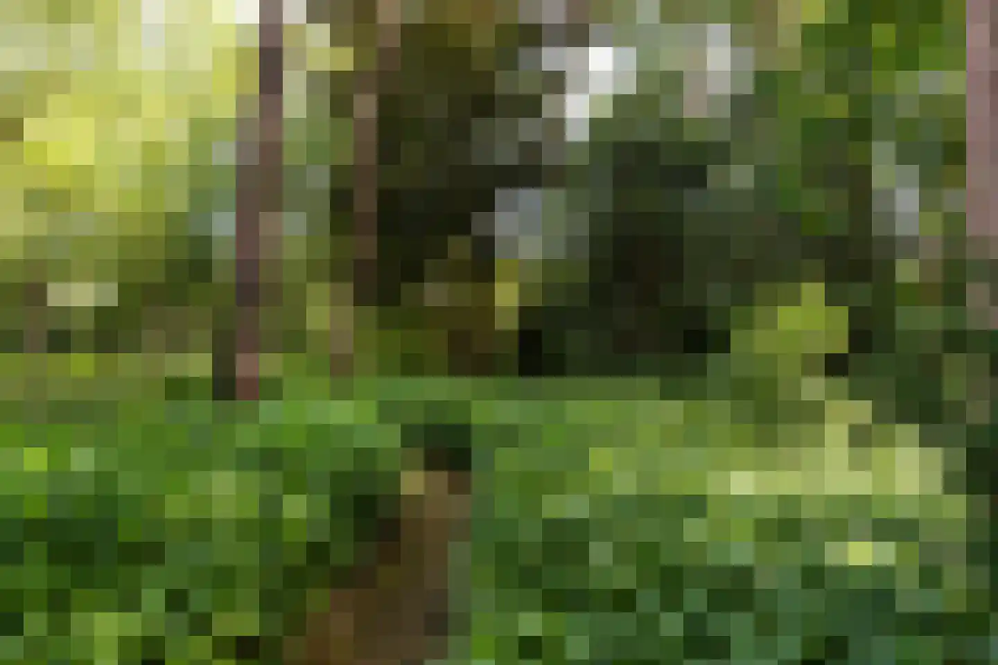 Finsponglaan 7 Zeist thumbnail 27