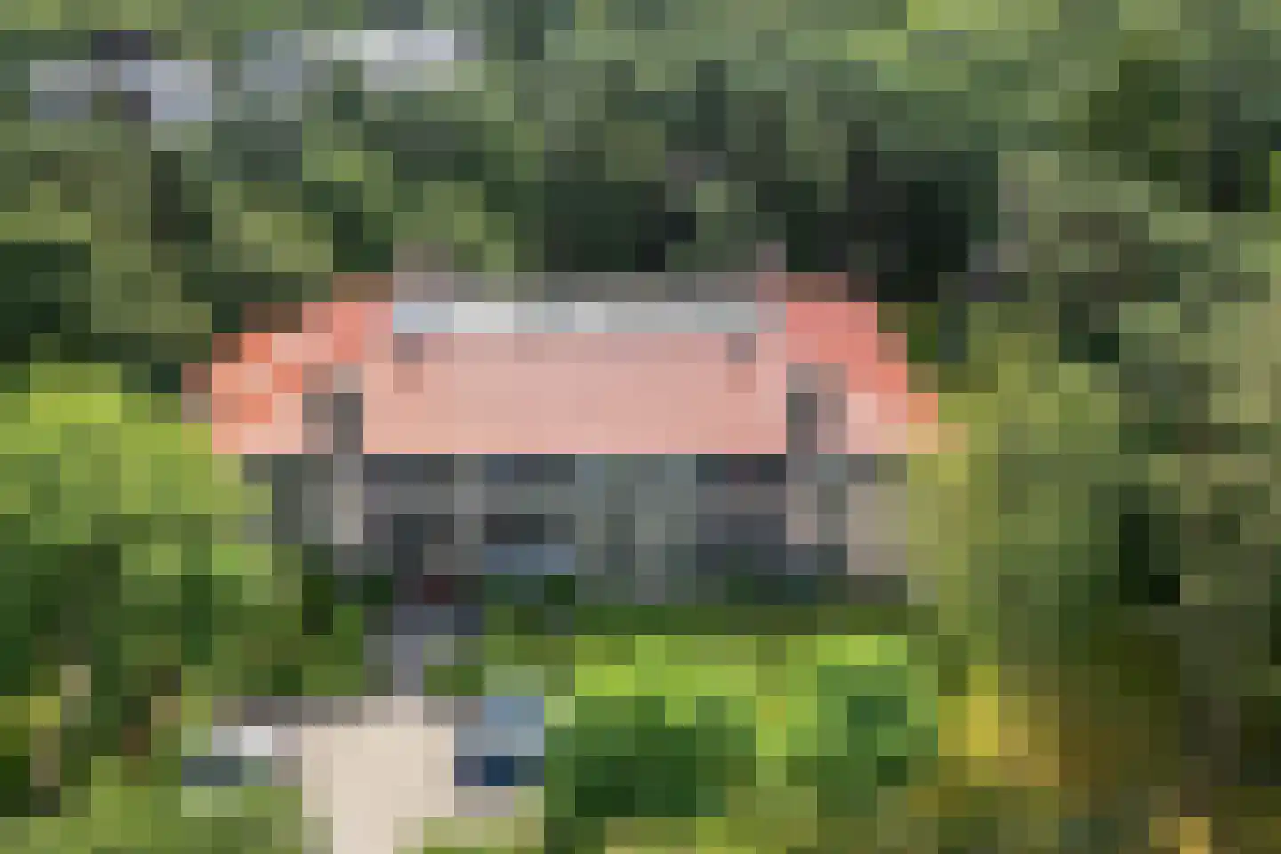 Finsponglaan 7 Zeist thumbnail 30