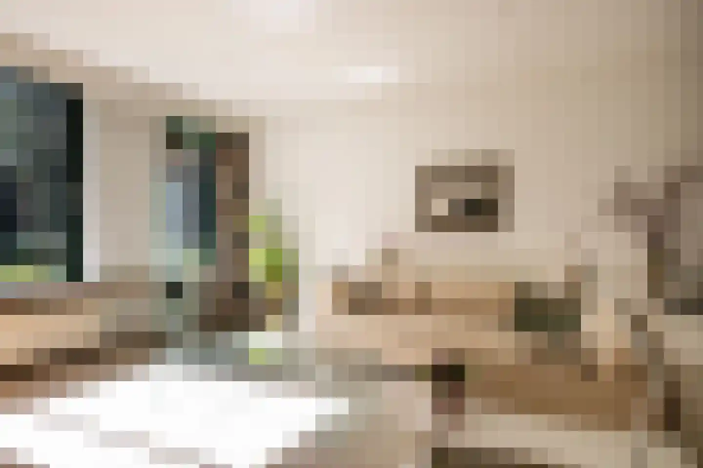 Finsponglaan 7 Zeist thumbnail 9