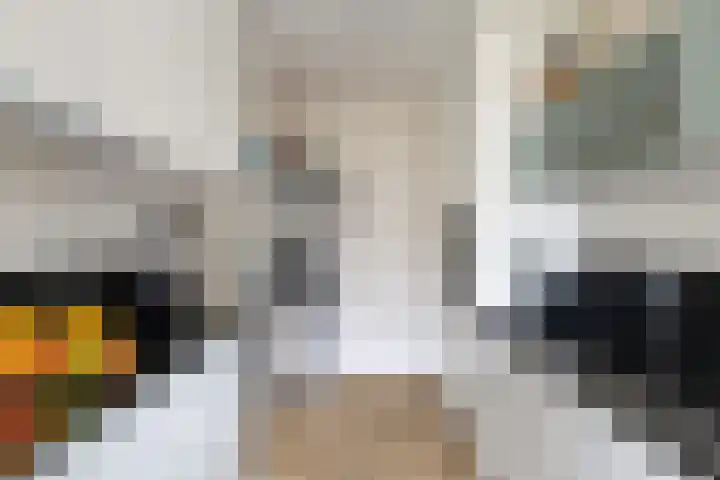 Finsponglaan 74 Zeist thumbnail 33