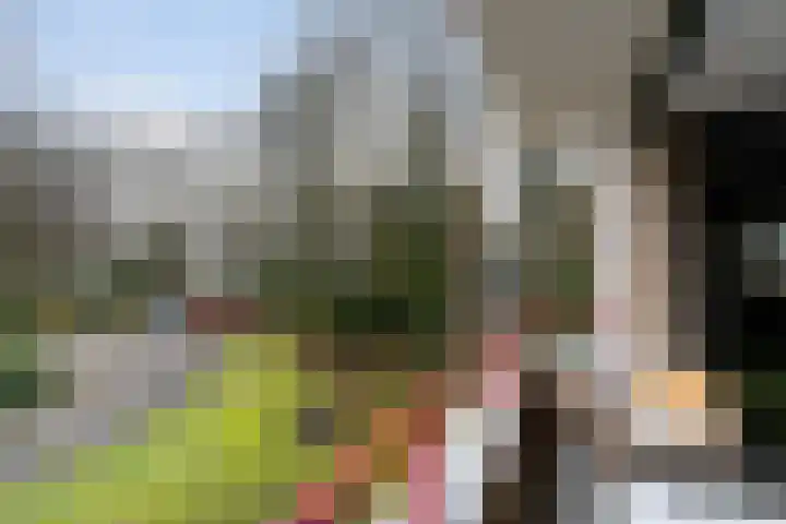 Finsponglaan 74 Zeist thumbnail 36