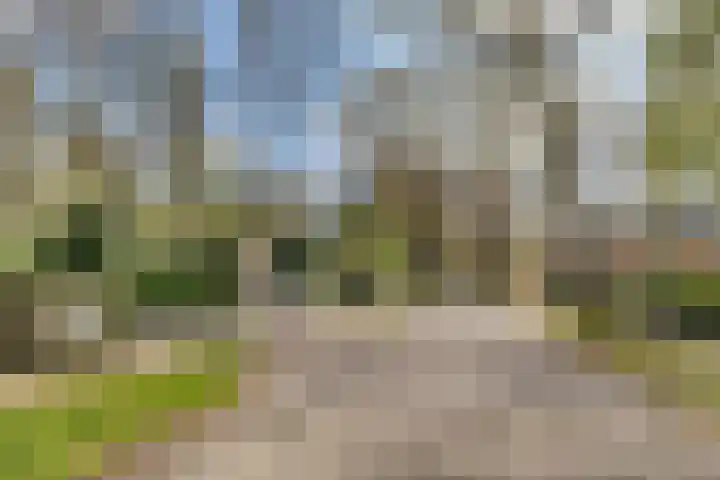 Finsponglaan 74 Zeist thumbnail 52