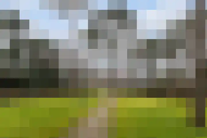 Finsponglaan 74 Zeist thumbnail 55