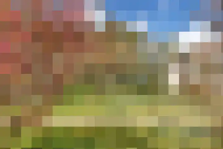 Finsponglaan 74 Zeist thumbnail 56