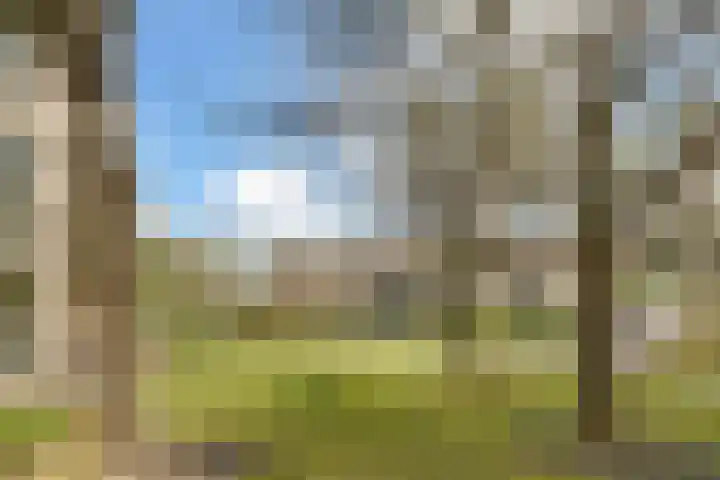 Finsponglaan 74 Zeist thumbnail 57