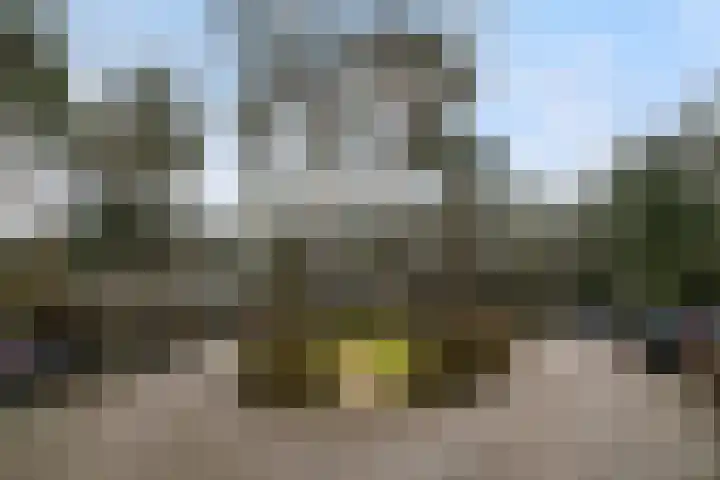 Finsponglaan 74 Zeist thumbnail 8