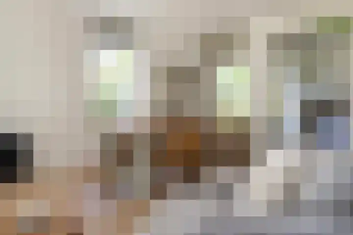 Finsponglaan 9 Zeist thumbnail 11