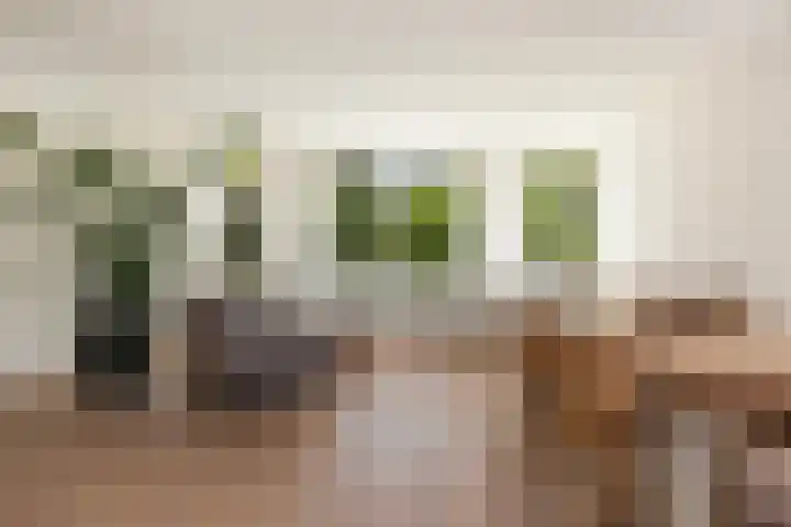 Finsponglaan 9 Zeist thumbnail 13