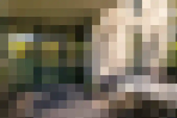 Finsponglaan 9 Zeist thumbnail 20