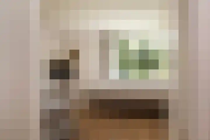 Finsponglaan 9 Zeist thumbnail 23