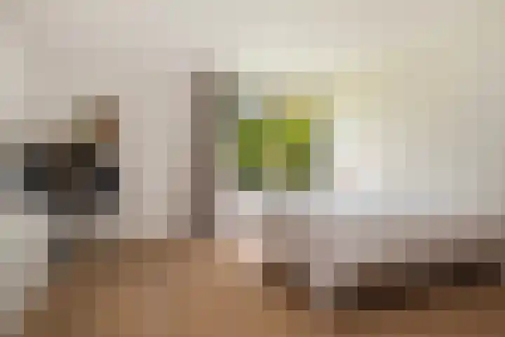 Finsponglaan 9 Zeist thumbnail 24