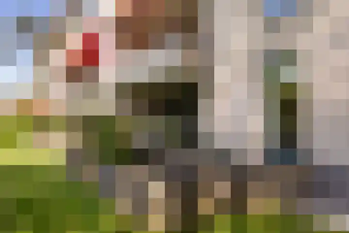 Finsponglaan 9 Zeist thumbnail 34