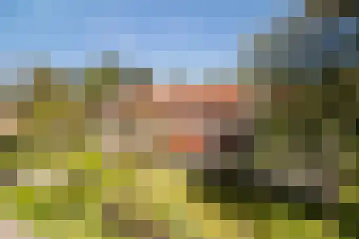 Finsponglaan 9 Zeist thumbnail 36