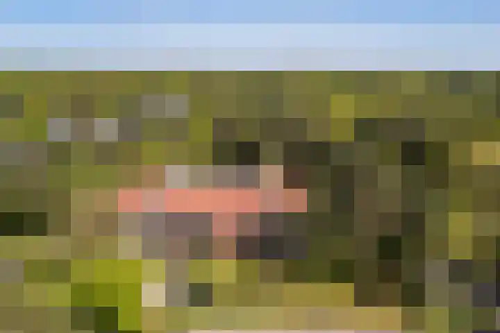 Finsponglaan 9 Zeist thumbnail 37