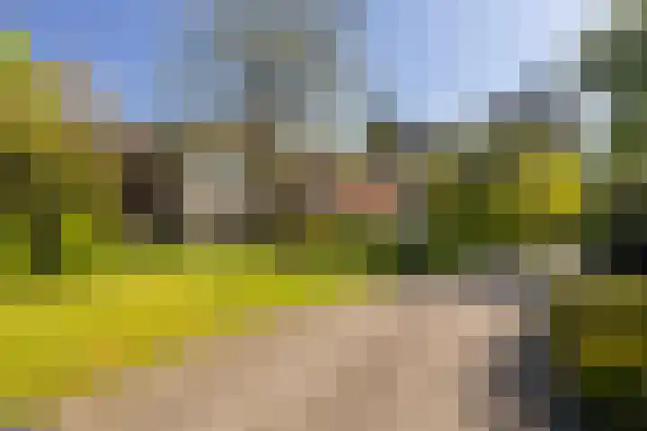 Finsponglaan 9 Zeist thumbnail 38