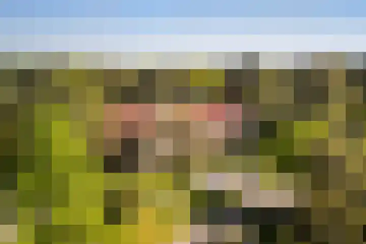 Finsponglaan 9 Zeist thumbnail 39