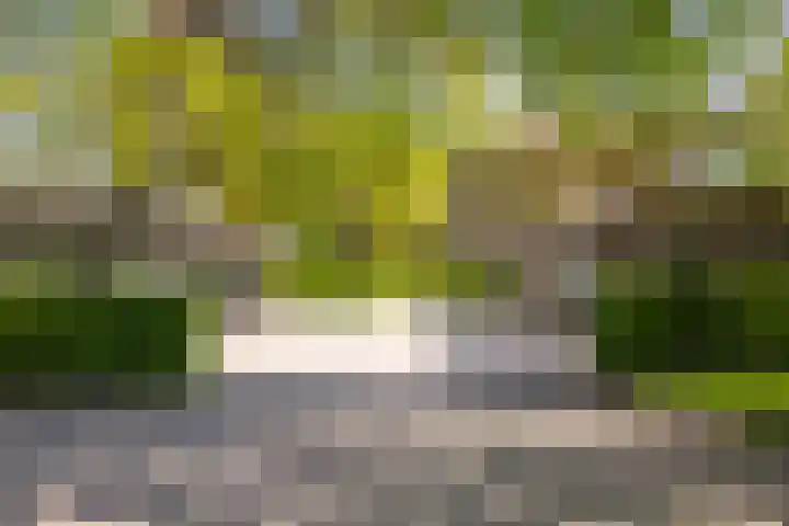Finsponglaan 9 Zeist thumbnail 43