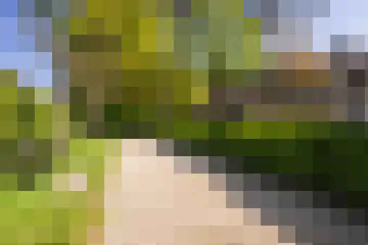 Finsponglaan 9 Zeist thumbnail 44