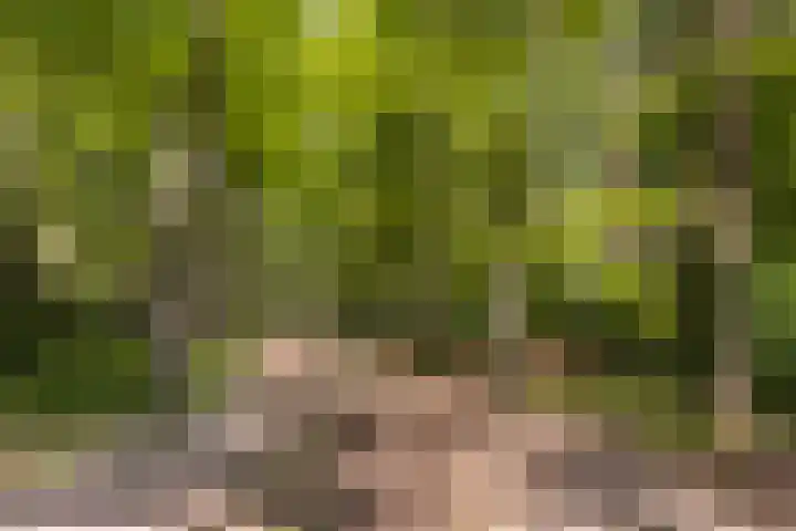 Finsponglaan 9 Zeist thumbnail 45