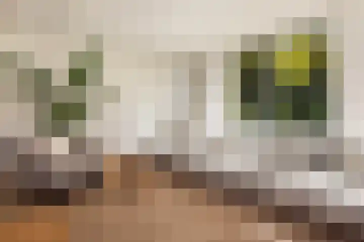Finsponglaan 9 Zeist thumbnail 7