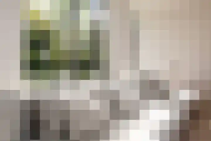 Finsponglaan 9 Zeist thumbnail 8