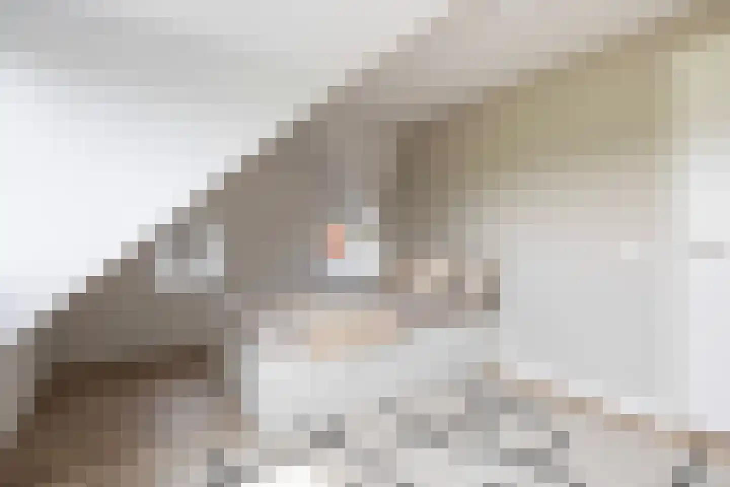 Finsterbuorren 6 Jelsum thumbnail 29