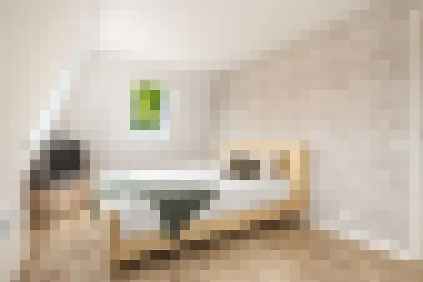 Finsterbuorren 6 Jelsum thumbnail 34