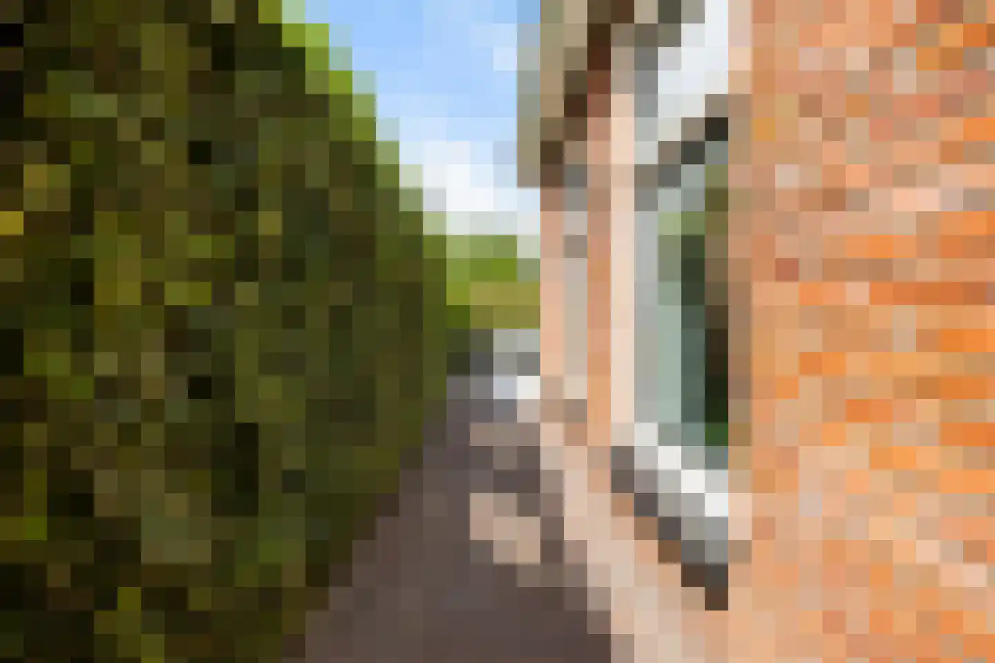 Finsterbuorren 6 Jelsum thumbnail 46