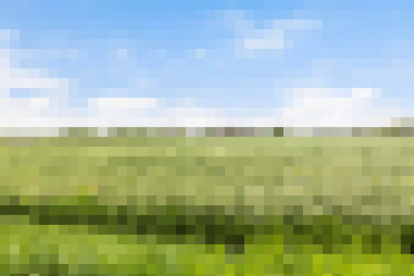 Finsterbuorren 6 Jelsum thumbnail 9