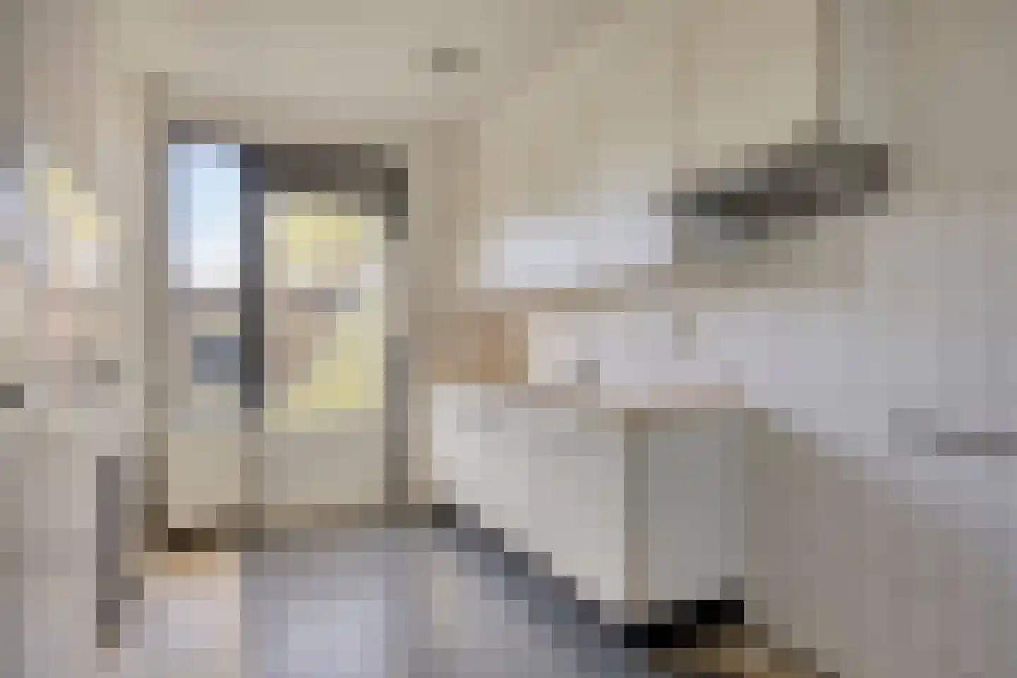 Finsterwoldepad 40 Arnhem thumbnail 12