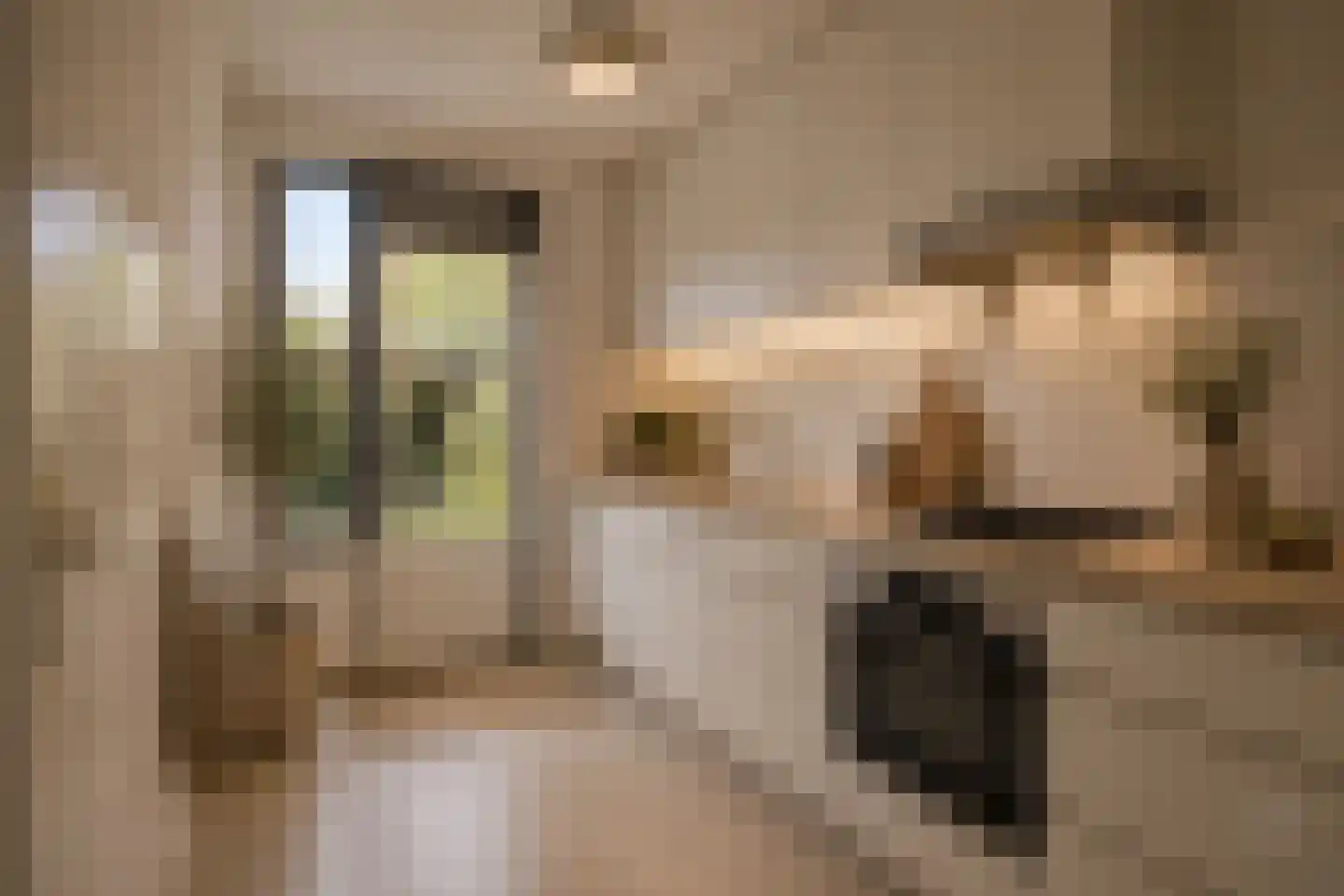 Finsterwoldepad 40 Arnhem thumbnail 4