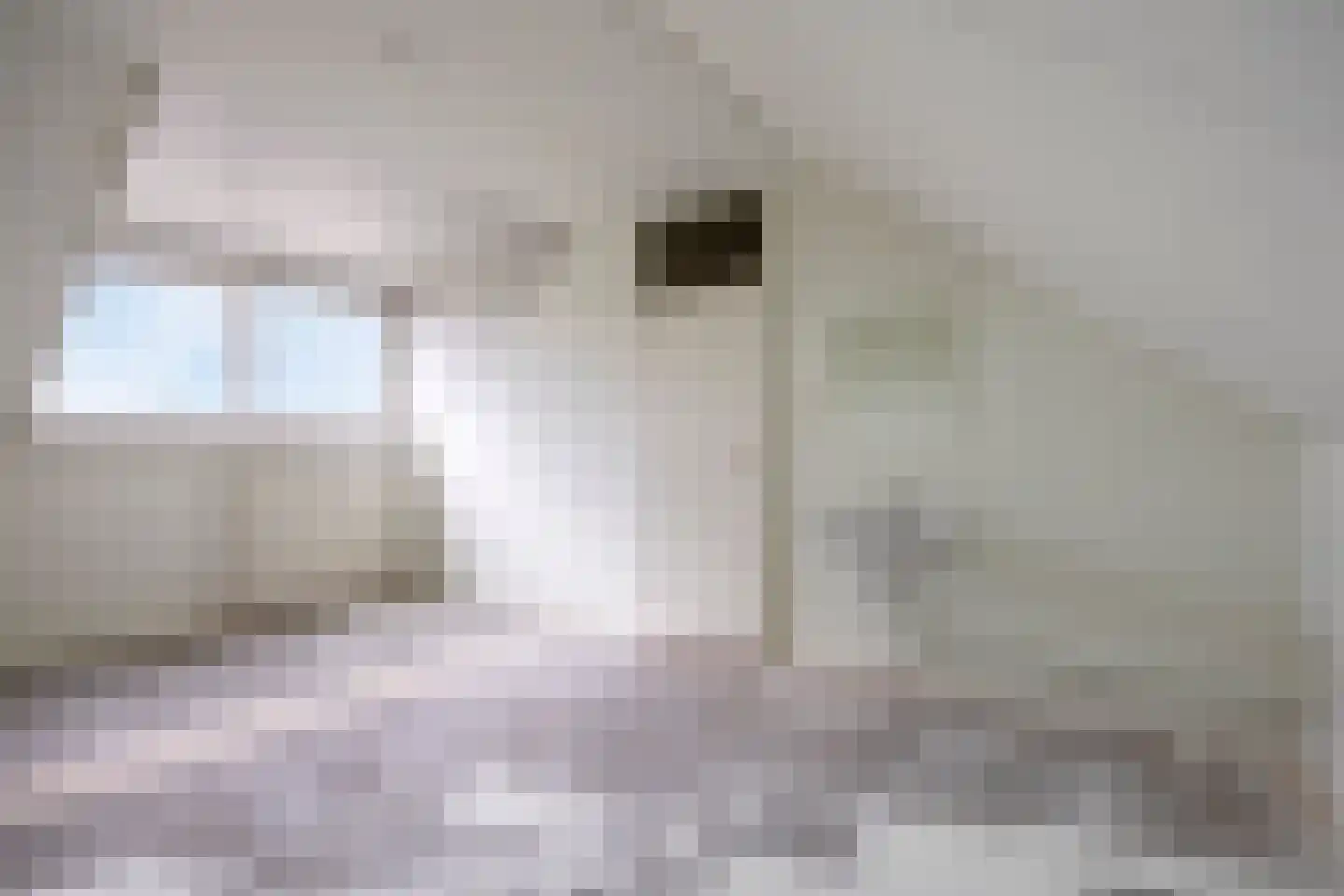 Finsterwoldepad 46 Arnhem thumbnail 36