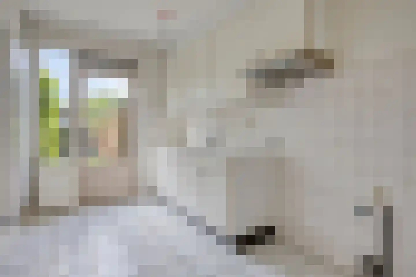 Finsterwoldepad 64 Arnhem thumbnail 15