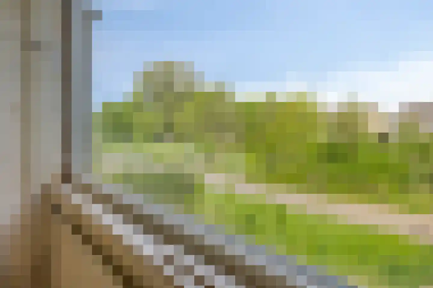 Finsterwoldepad 64 Arnhem thumbnail 19