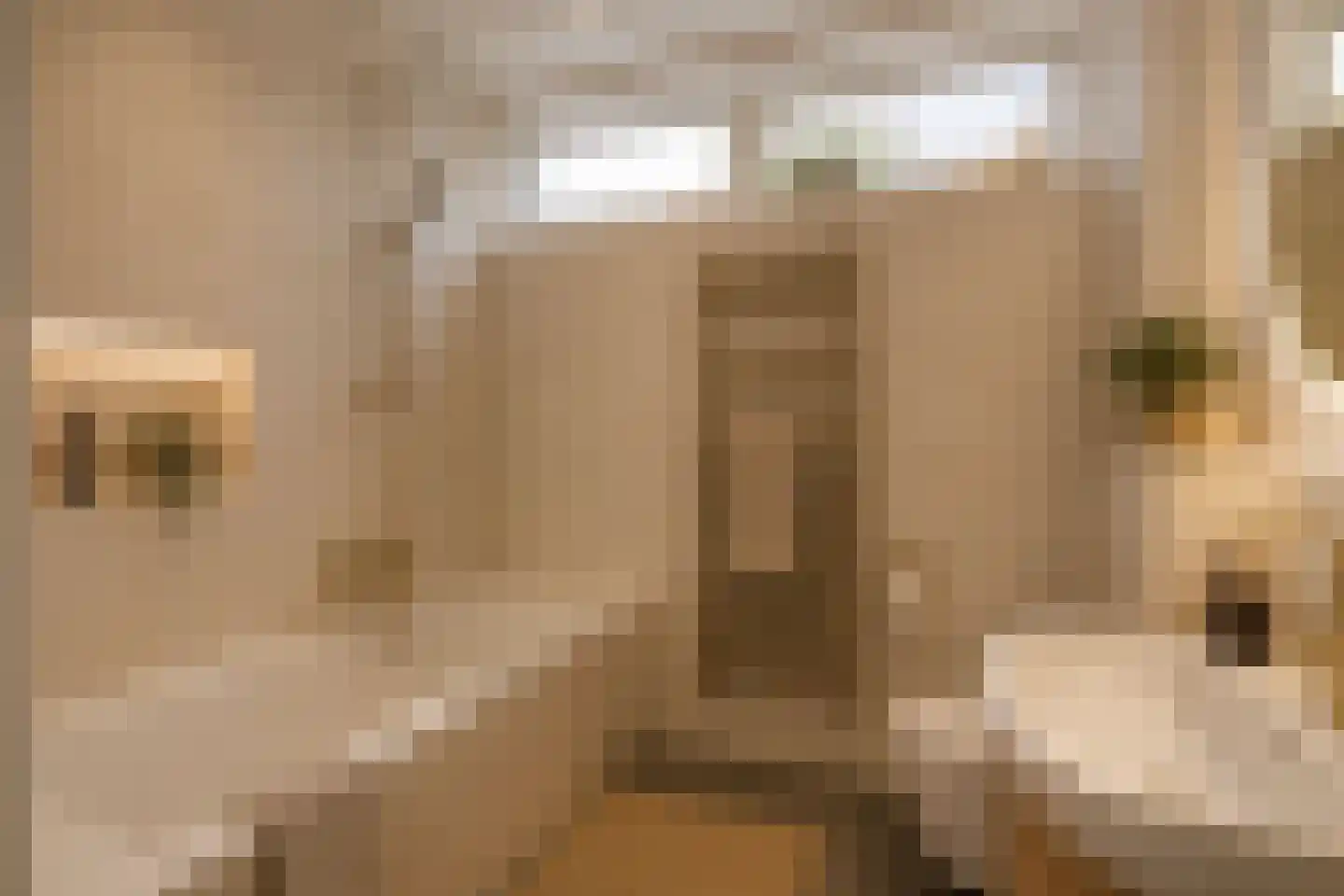 Finsterwoldepad 64 Arnhem thumbnail 21