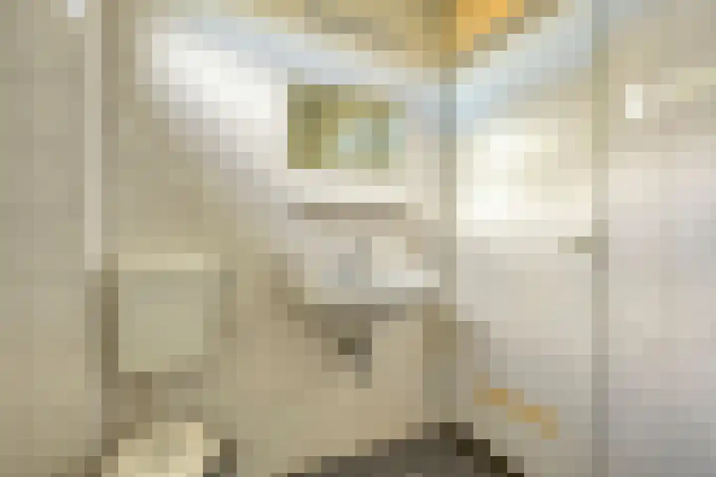 Finsterwoldepad 64 Arnhem thumbnail 22