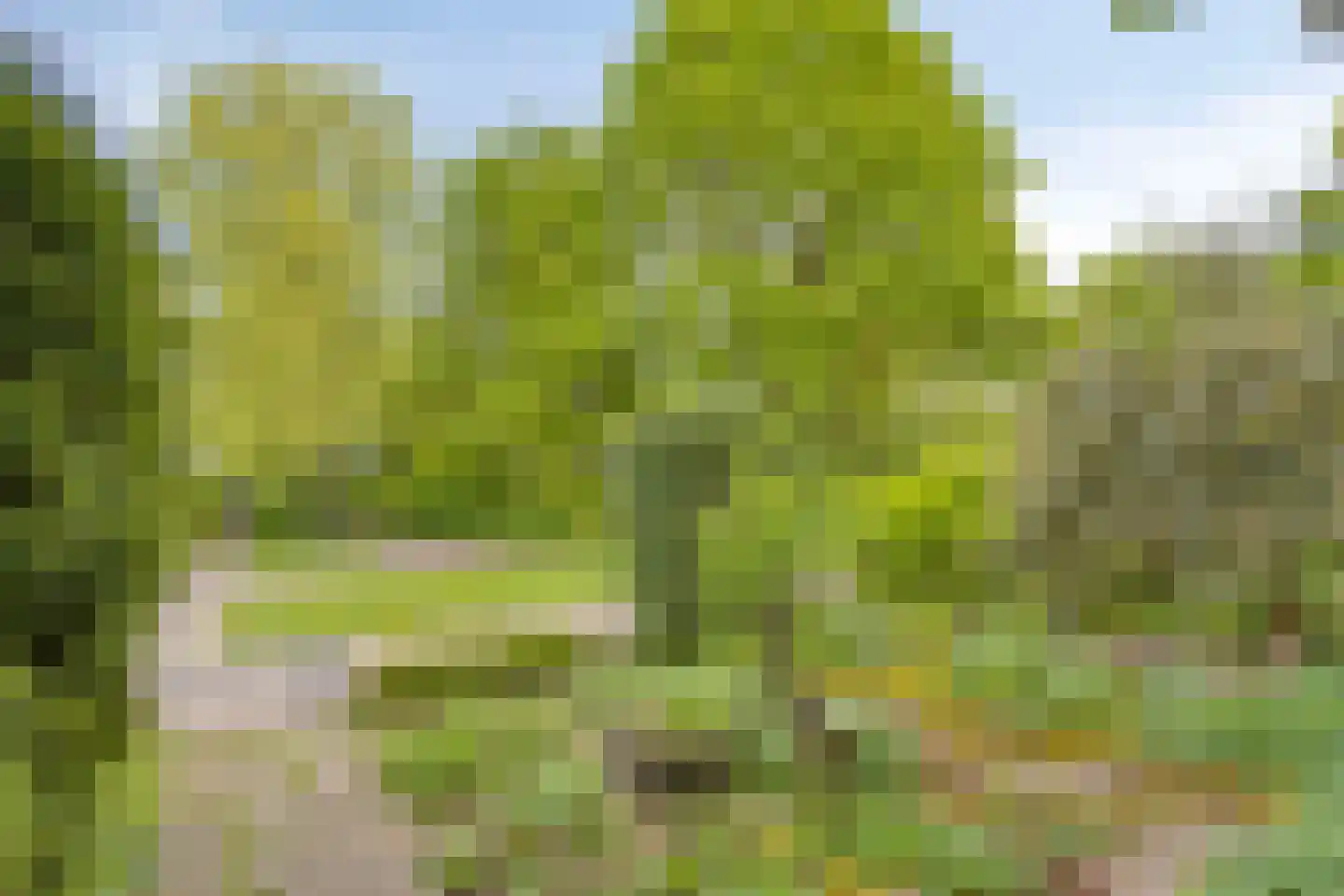 Finsterwoldepad 64 Arnhem thumbnail 32