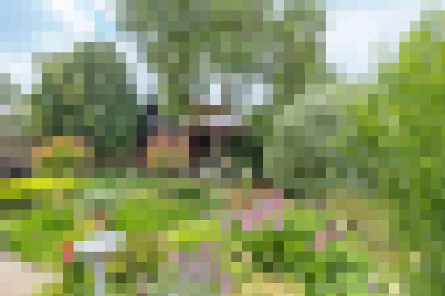 Fint 2 Hardinxveld-Giessendam thumbnail 16
